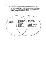 ACTIVITY 2 1 Docx ACTIVITY 1 Compare And Contrast A Compare