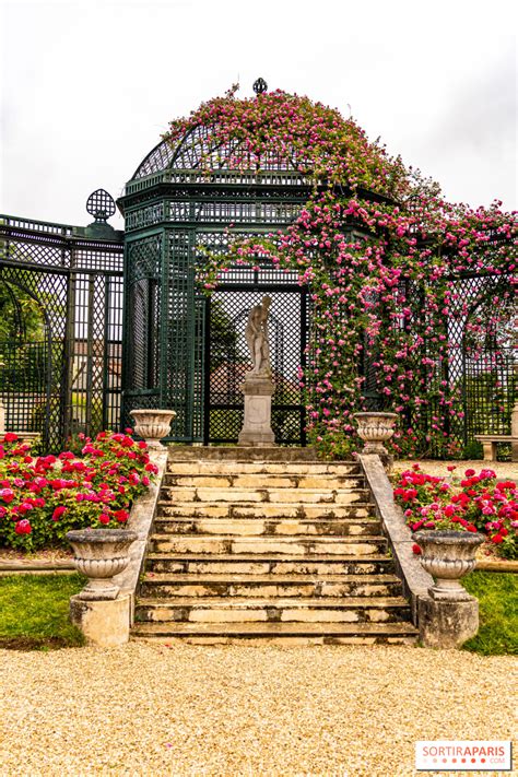 The Roseraie du Val de Marne at l Haÿ les Roses the world s first rose