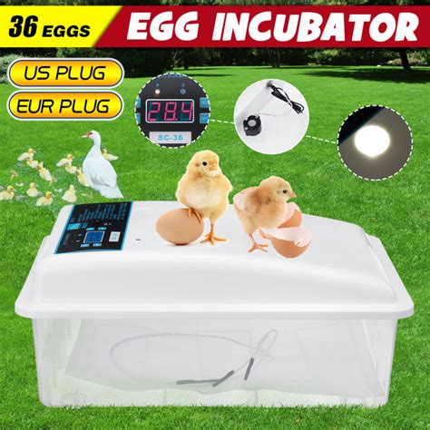 Egg Incubator Automatic Automatik Digital 36 Telur Beralih Inkubator