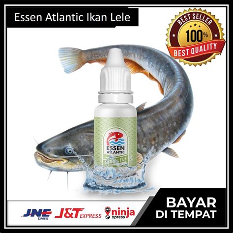 Jual Umpan Ikan Lele Essen Atlantic Atlantik Mancing Galatama