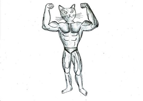 Buff Cat By Me Pencil Art 2020 Rart