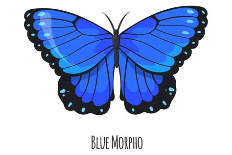 Butterfly Coloring Page Butterfly Clip Art Morpho Butterfly Blue Porn