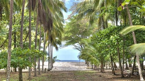 Hot Property Mel Gibson Puts Up For Sale His Costa Rican Jungle