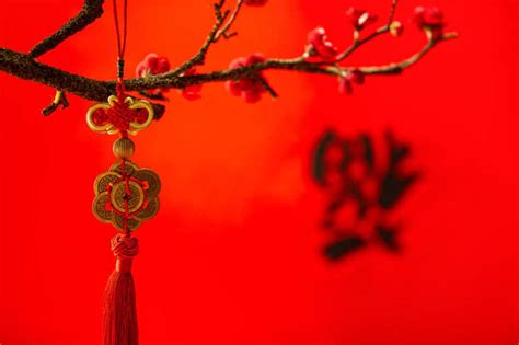 Powerful Chinese Good Luck Charms For Wealth Luck