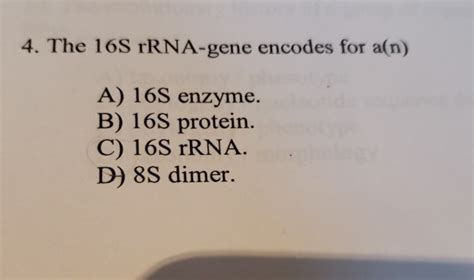 Solved 4. The 16S rRNA-gene encodes for a(n) A) 16S enzyme. | Chegg.com 