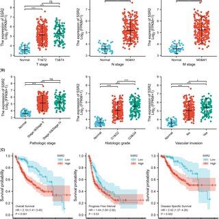 Association Between Ssr Expression And Clinicopathological