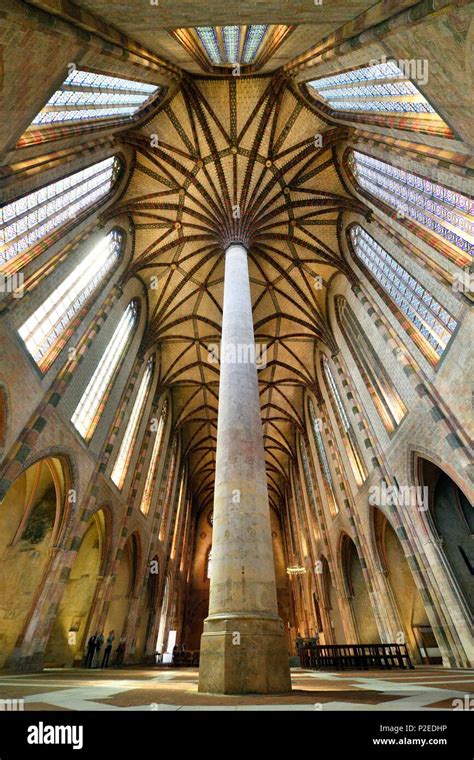 Palm Vaulting Hi Res Stock Photography And Images Alamy