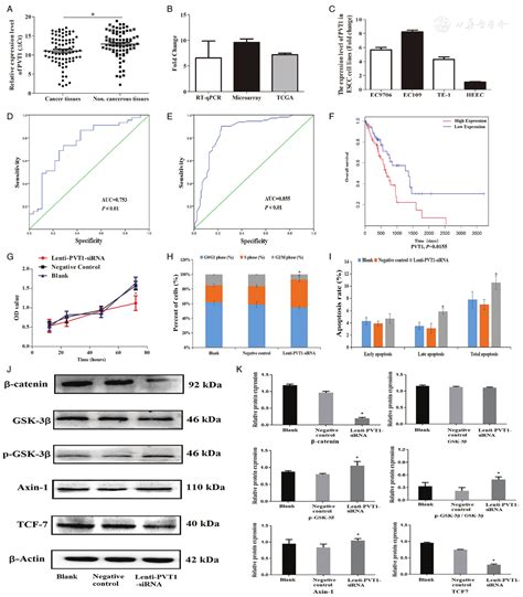 Long Non Coding Rna Pvt1 Promotes Tumor Progression By Regulating The