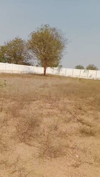 Agricultural Land 10 Guntha For Sale In Chevella Mandla Hyderabad