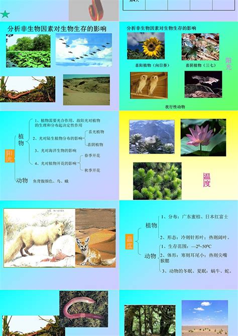 第一章第二节 环境影响生物的生存课件卡卡办公