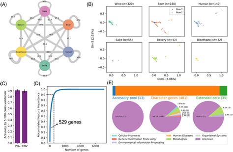 Analysis Of Genotype Phenotype Relationship With Machine Learning In S Download Scientific