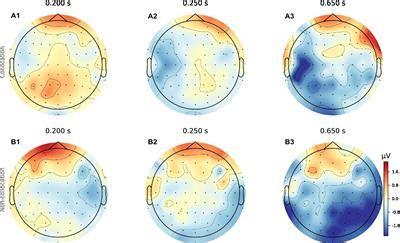 Frontiers Neural Correlates Of Linguistic Collocations During