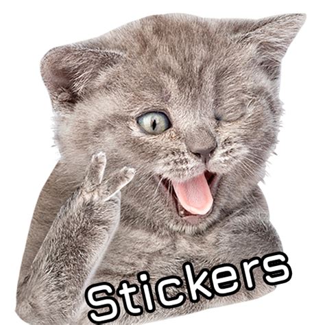 WASticker Cat Stickers Apps On Google Play