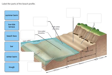 Solved Label The Parts Of The Beach Profile Chegg