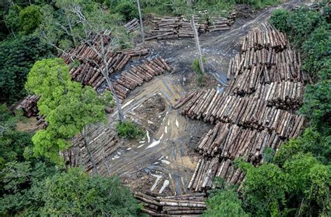 Mo Ambique Ter Sat Lite De Monitoria Ambiental