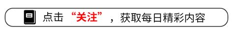 好家伙！才播2集就收视第一，观众好评如潮，这把央视又稳赢 娱乐资讯 存满娱乐网