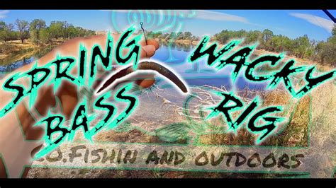 Catching Bass With Wacky Rig Youtube