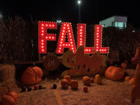 Halloween Nights Of Lights Pumpkinville Opens At CF Sherway Gardens