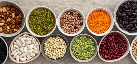 A Guide to Pulses and the Different Types of Pulses - Expora