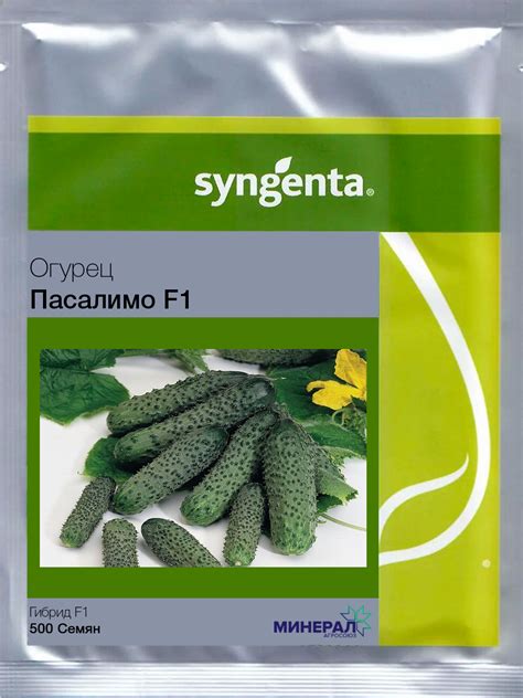 Огурец ПАСАЛИМО F1 | SmartSeeds.by