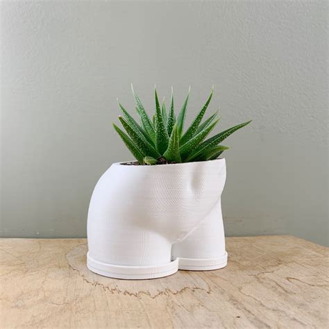 BOOTY PLANTER Butt Planter 3D Printed Planter Etsy