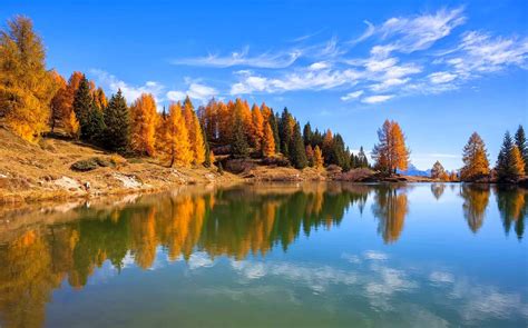 Hintergrundbilder Bäume Landschaft Wald fallen Italien See