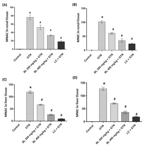 Histogram Showing The Morphometric Results Of The Renal And Liver