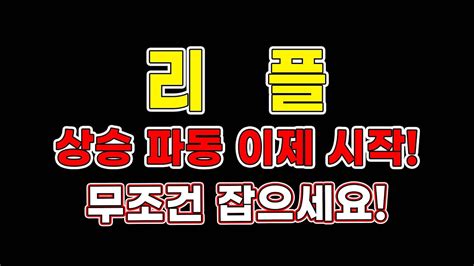 리플 상승 파동 이제 시작 무조건 잡으세요 리플코인 리플전망 코인추천 트레이더메타 Youtube