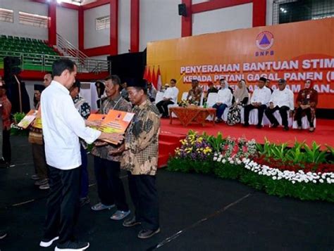 Jokowi Serahkan Bantuan Stimulan Bagi Petani Gagal Panen Terdampak