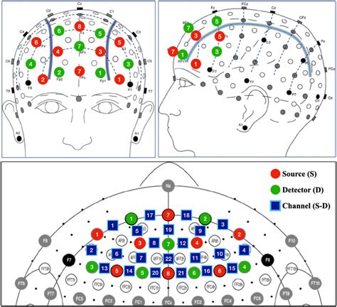 Frontiers Prefrontal Activity And Heart Rate Variability During