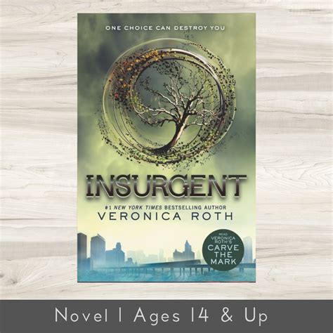 Insurgent Book