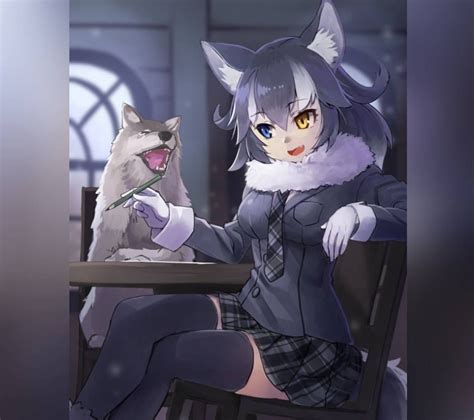 Gray Wolf Kemono Friends Anime Wolf Girl Anime Furry Anime Neko