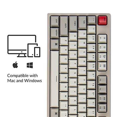 Electronikz Keychron C1 Hot Swappable Wired Mechanical Review