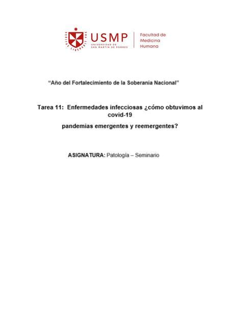 Tarea 11 Enfermedades infecciosas cómo obtuvimos al covid 19