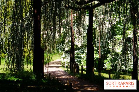 Arboretum De La Vall E Aux Loups Une Chapp E Francilienne Parmi Des