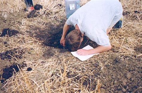 The House I Built Percolation Test