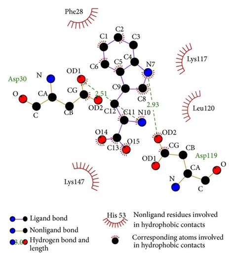 Ligplot Illustrates The Protein Ligand Interactions A Saussureamine Download Scientific