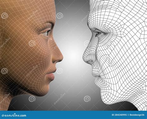 3d Illustration Wireframe Or Mesh Human Male And Female Head Stock