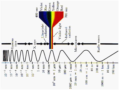 7 Pulsars At Other Wavelengths