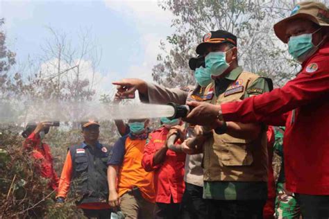 GoRiau Karhutla Di Riau Meluas Total Lahan Terbakar Menjadi 369 08