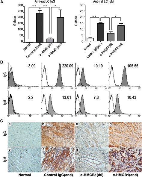 Treatment With Anti HMGB1 Antibody Suppresses Xenoreactive B Cell