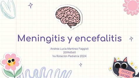 Meningitis Y Encefalitis Andrea Afstudenthelp Udocz