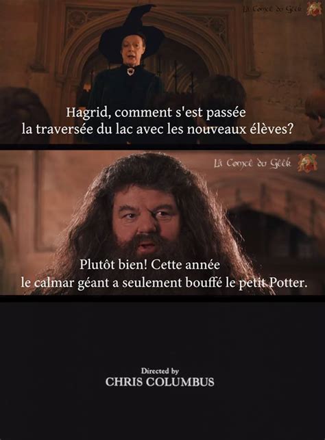 Fa Ons De Finir Pr Matur Ment Harry Potter Blagues Harry Potter