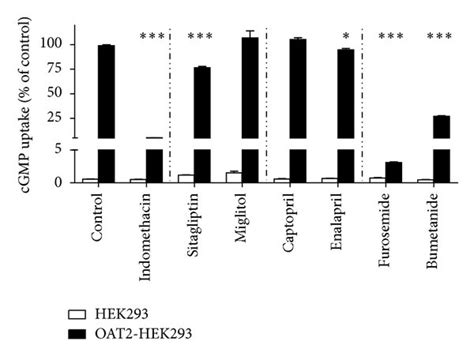 Influence Of Dicarboxylates Metabolites And Drugs On Oat2 Mediated Download Scientific