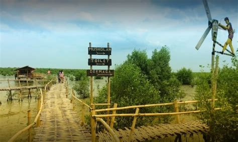 Wisata Mangrove Lampung Timur Trip Jalan Jalan