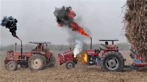 Mf Tractor Power Fails Tractors Pulling Sugarcane Trolley