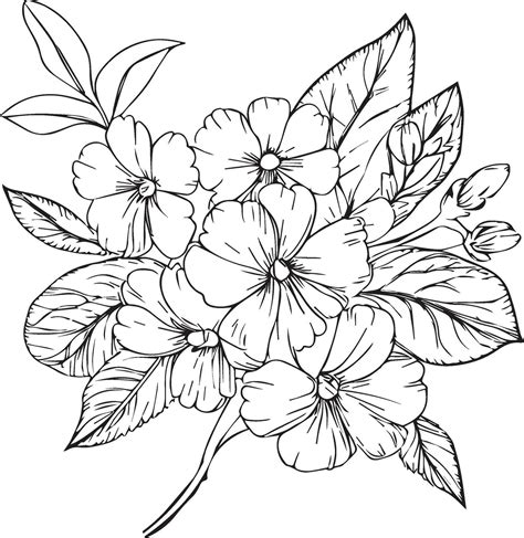 Detailed Flower Coloring Pages Sketch Contour Bouquet Of Primrose