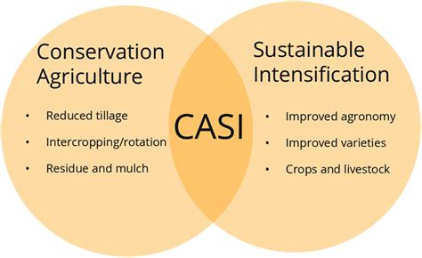 Conservation Agriculture Based On Sustainable Intensification Download Scientific Diagram