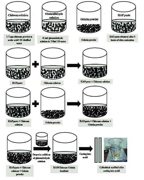 Schematic Diagram Of The Preparation Of HAP Chitosan Gelatin Scaffold