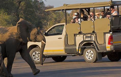 East Africa Vs Southern Africa Safaris How To Choose Best Safaris In Africa